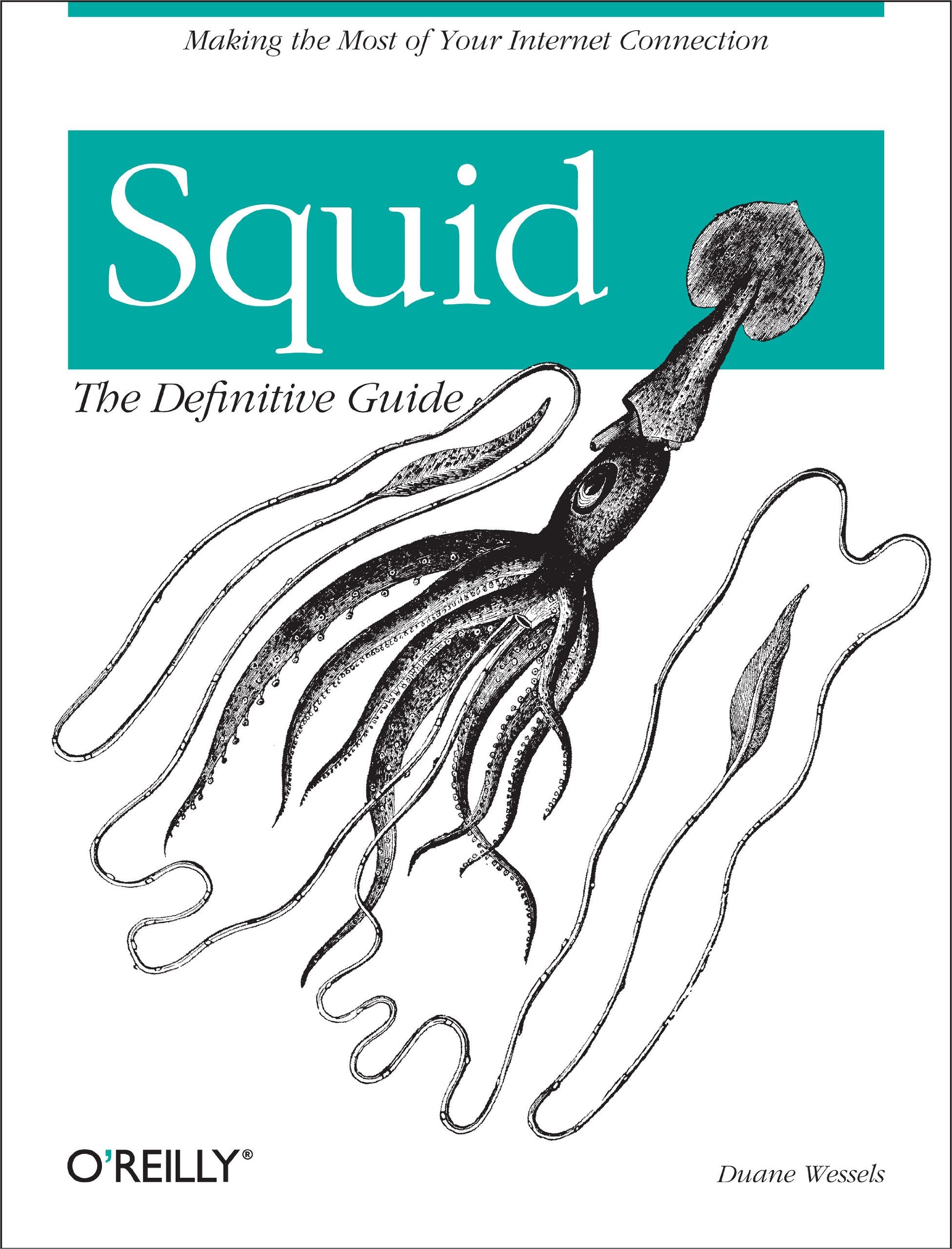 Squid: The Definitive Guide,New