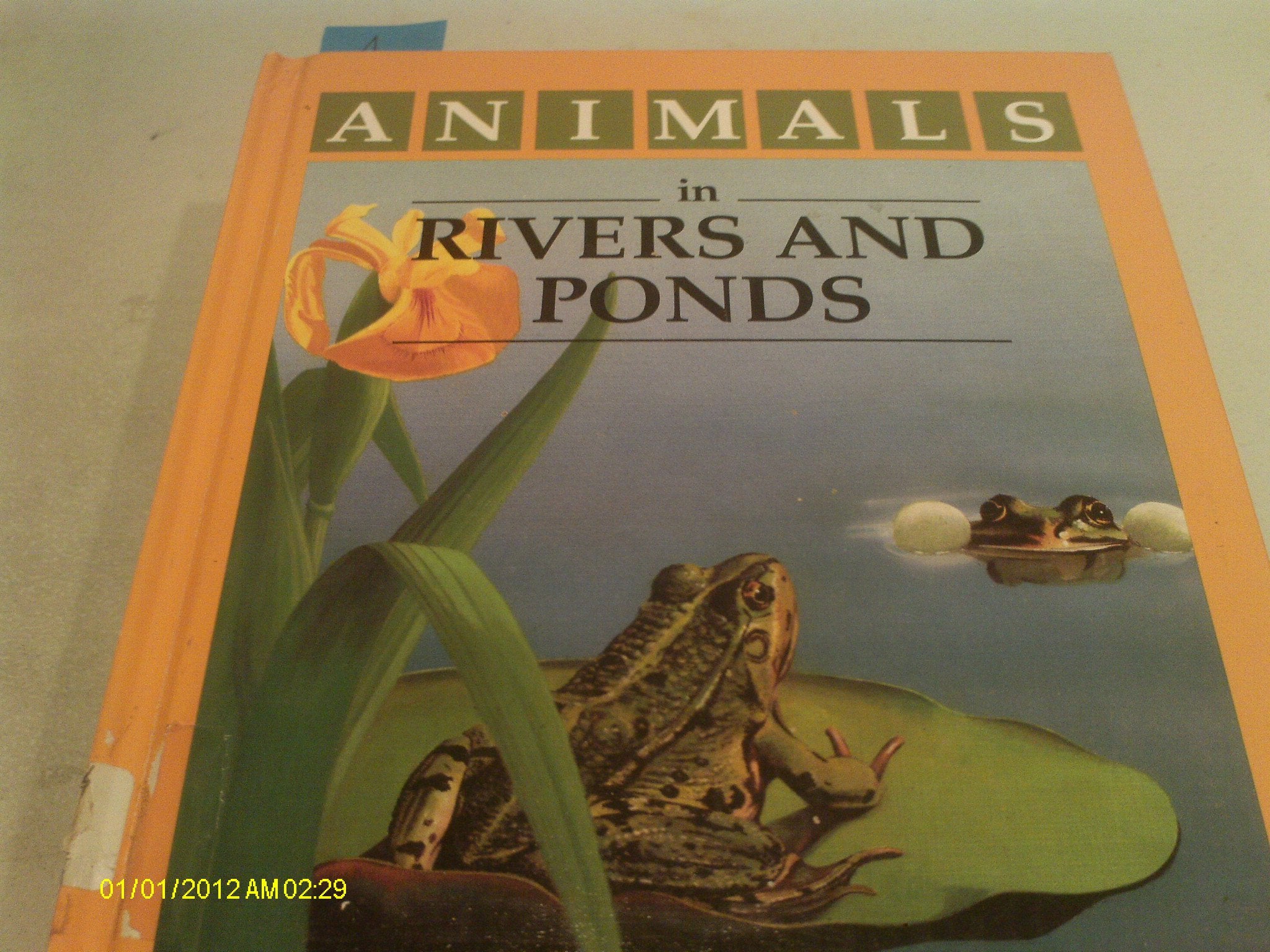 Animals in Rivers and Ponds (Animals and Their Homes) (English and French Edition),Used