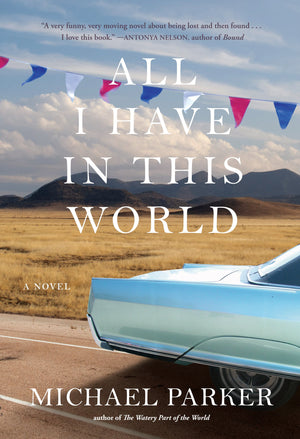 All I Have In This World: A Novel