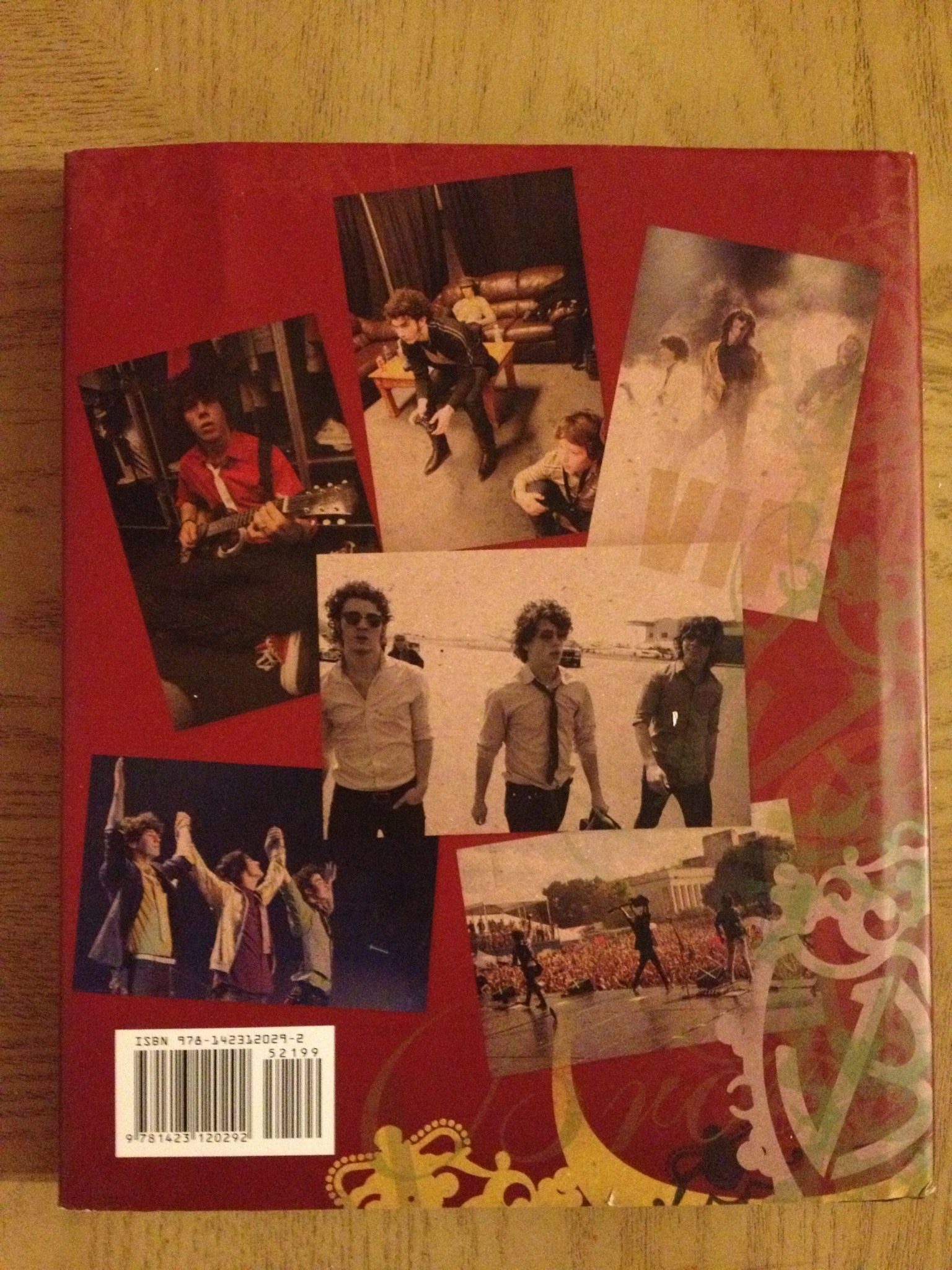 Burning Up: On Tour with the Jonas Brothers,New