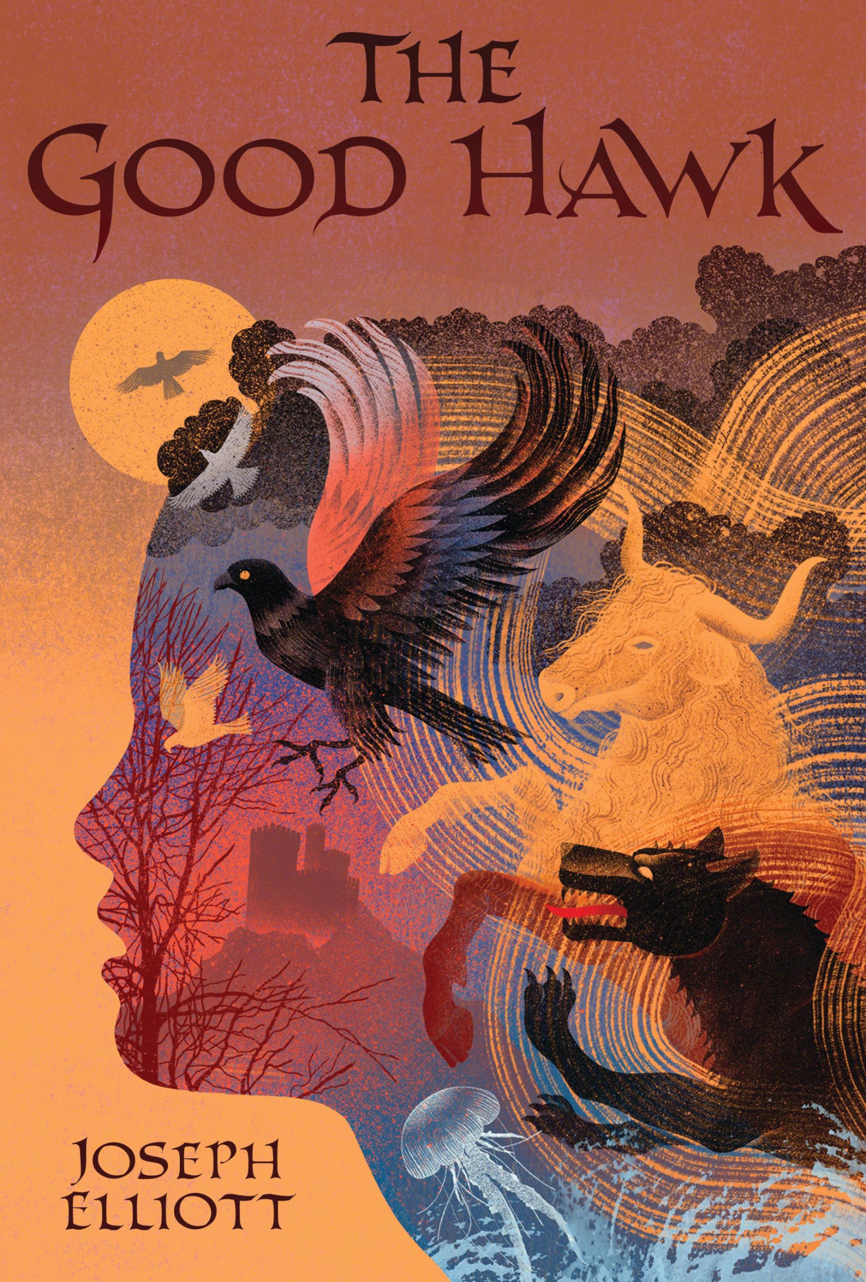 The Good Hawk (Shadow Skye, Book One) (Shadow Skye Trilogy),Used