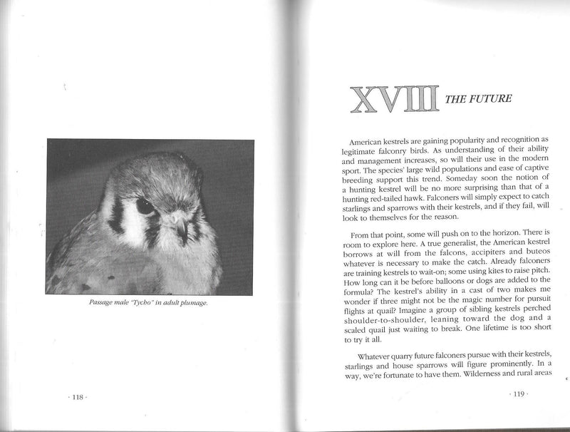 American Kestrels in Modern Falconry,New