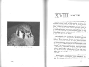 American Kestrels in Modern Falconry,Used