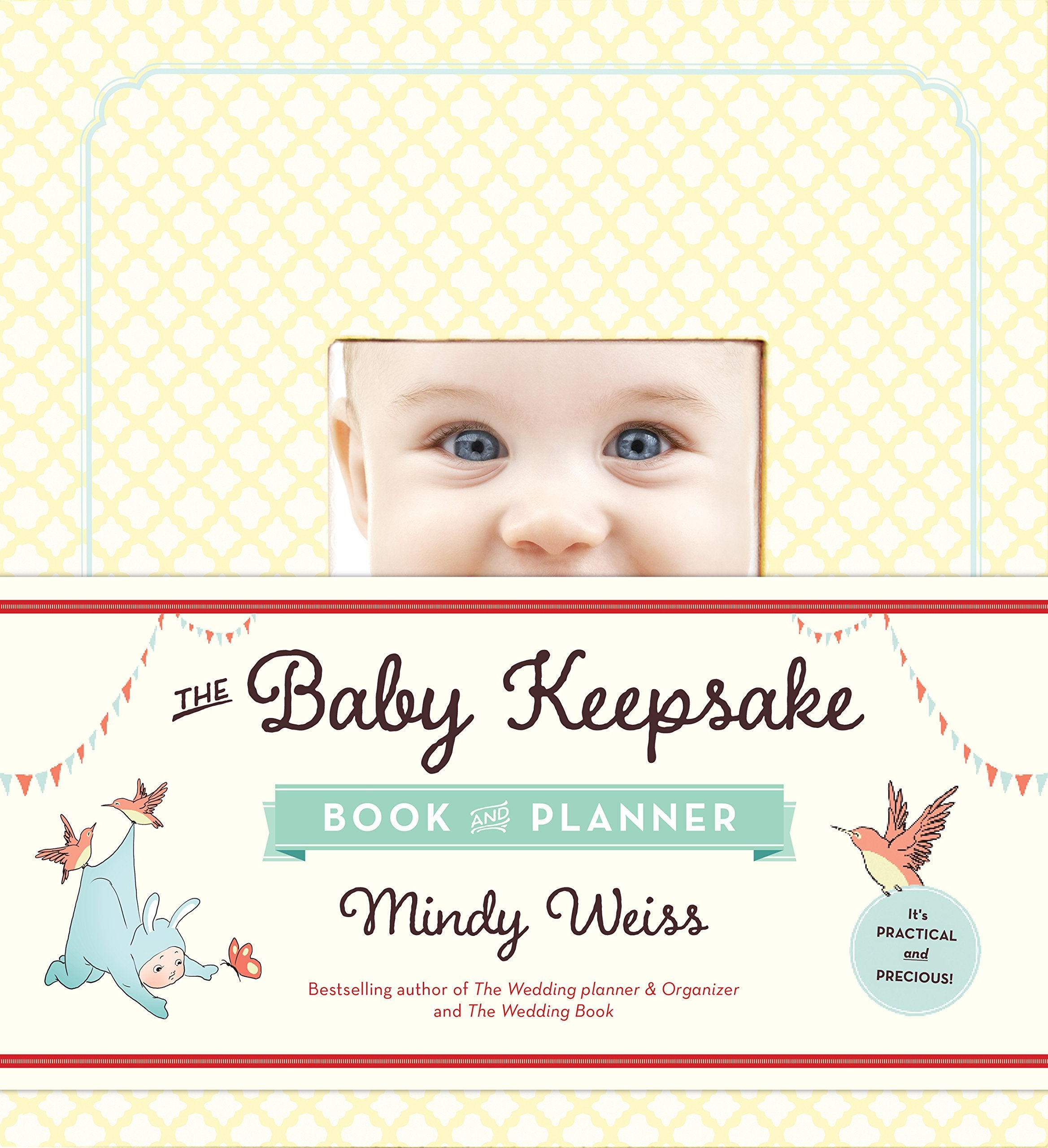 The Baby Keepsake Book And Planner,New