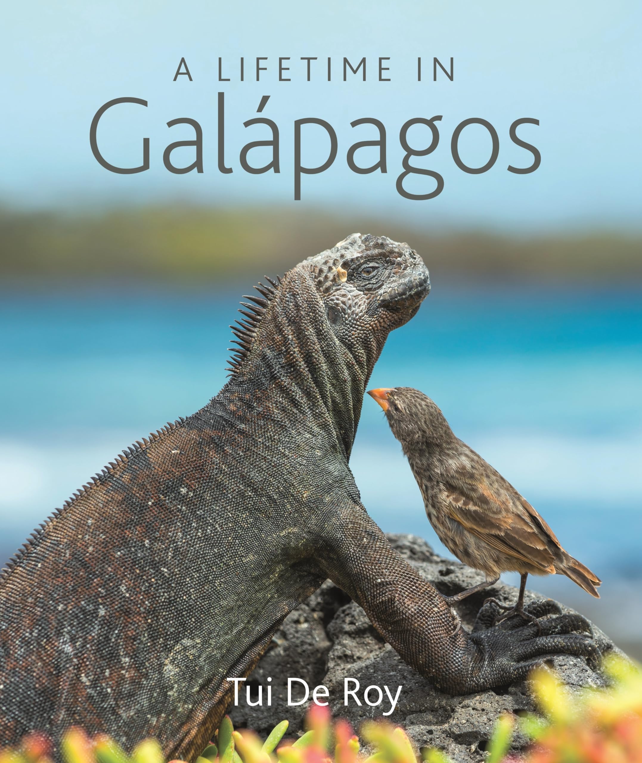 A Lifetime In Galpagos