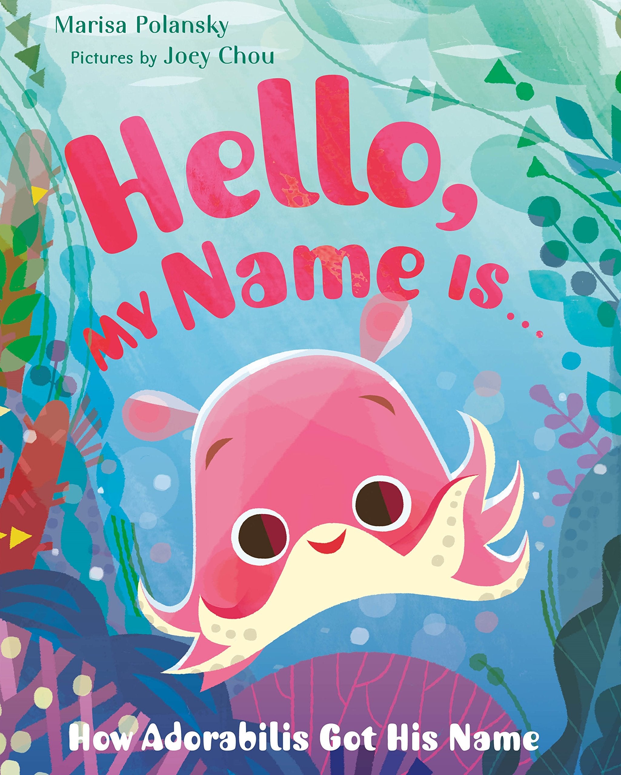 Hello, My Name Is . . .: How Adorabilis Got His Name,Used