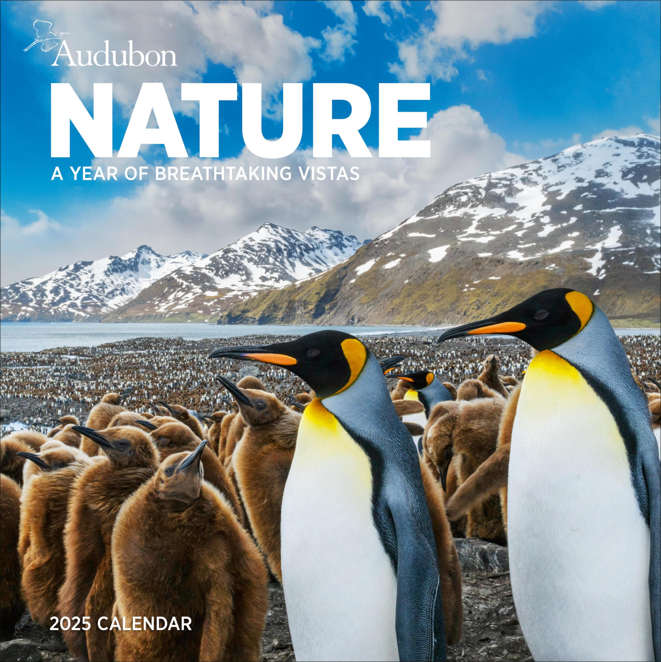 Audubon Nature Wall Calendar 2025: A Year Of Breathtaking Vistas