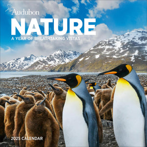 Audubon Nature Wall Calendar 2025: A Year Of Breathtaking Vistas