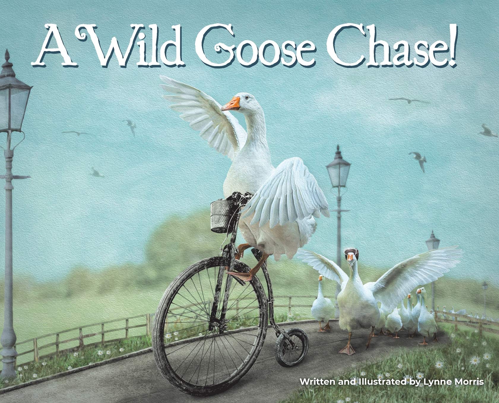 A Wild Goose Chase!,Used