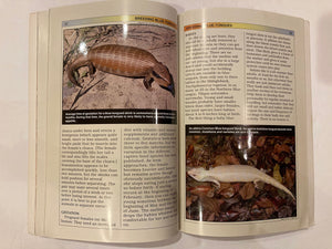 BlueTongued Skinks: Keeping & Breeding Them in Captivity,Used