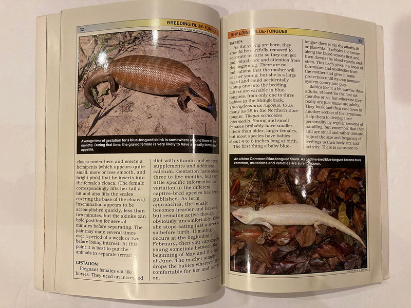 BlueTongued Skinks: Keeping & Breeding Them in Captivity,Used