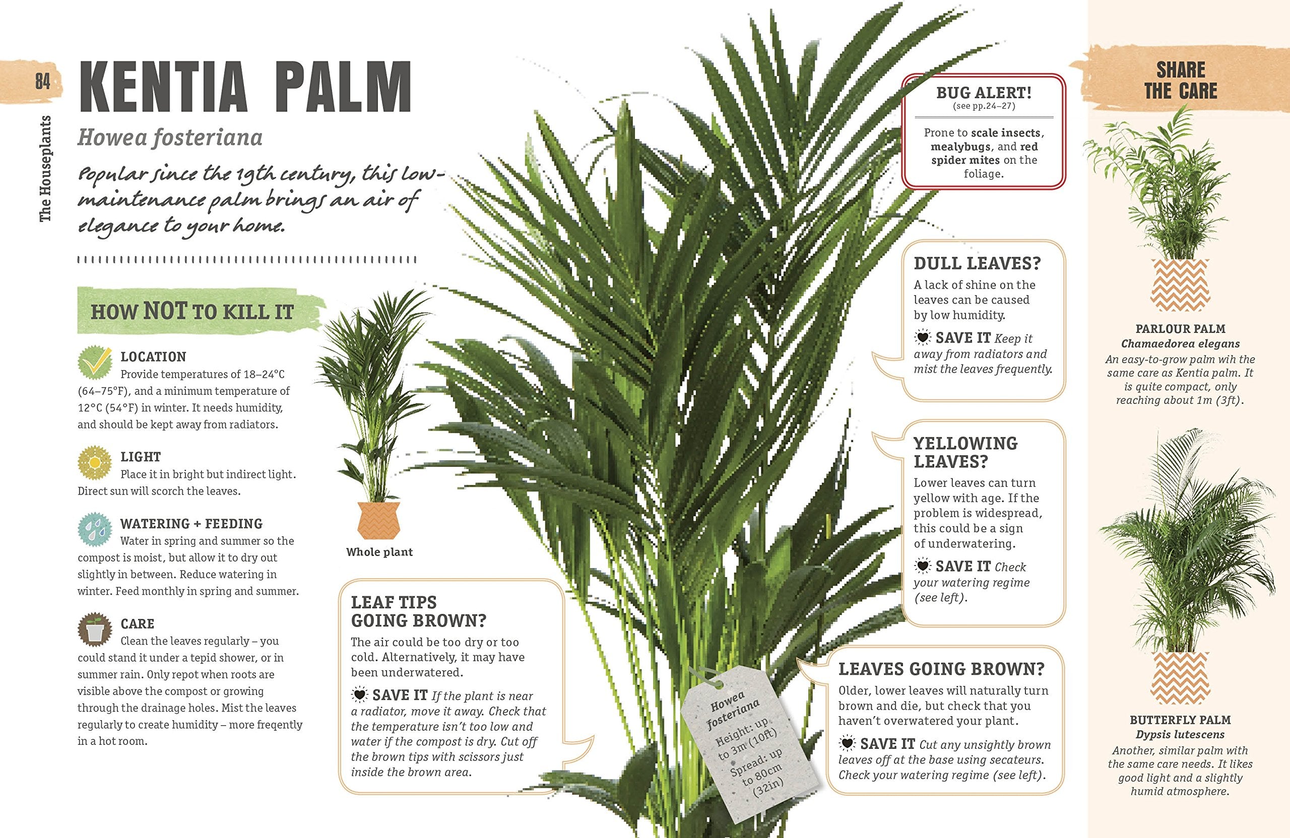 How Not to Kill Your Houseplant: Survival Tips for the Horticulturally Challenged,Used