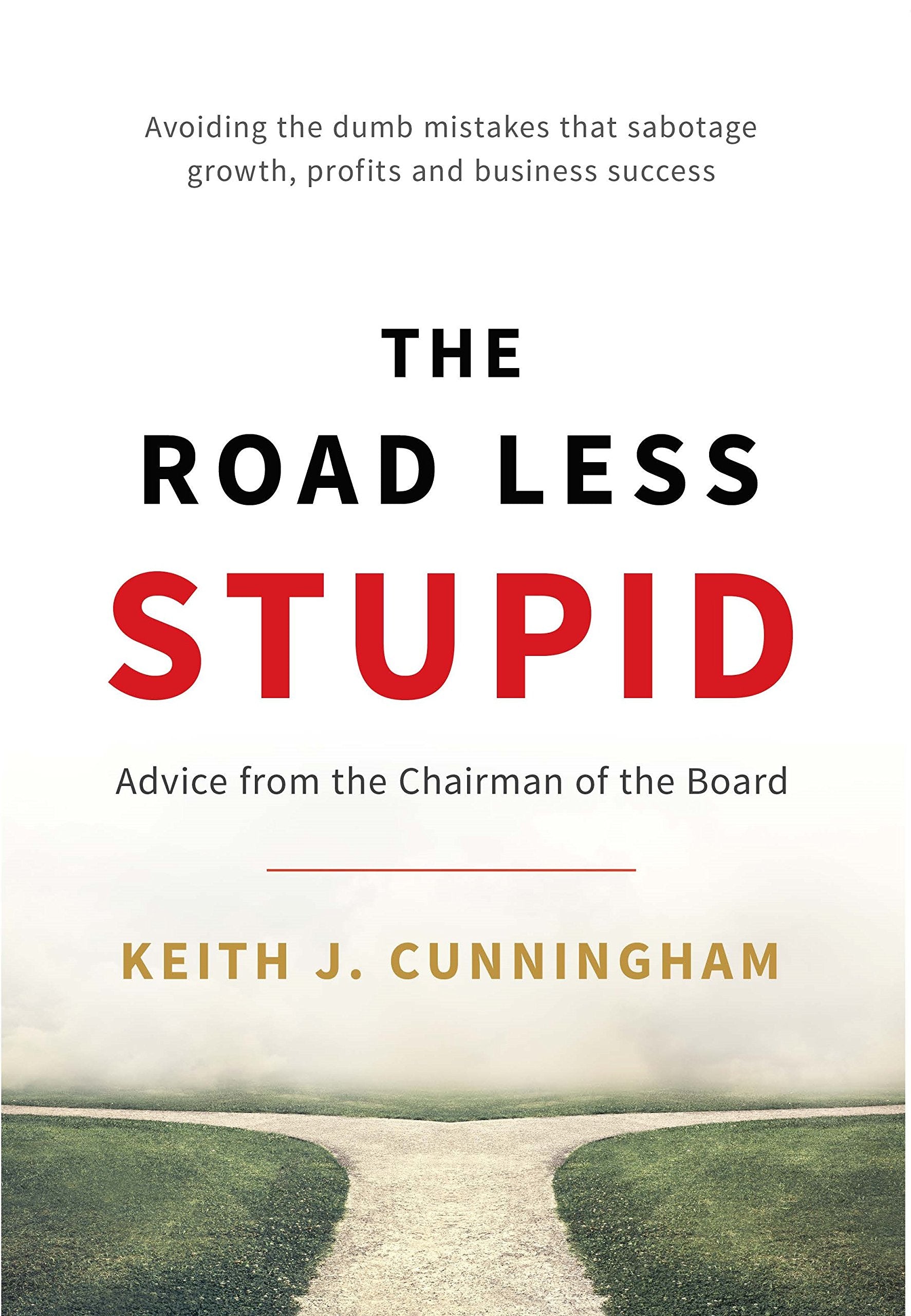 The Road Less Stupid-used