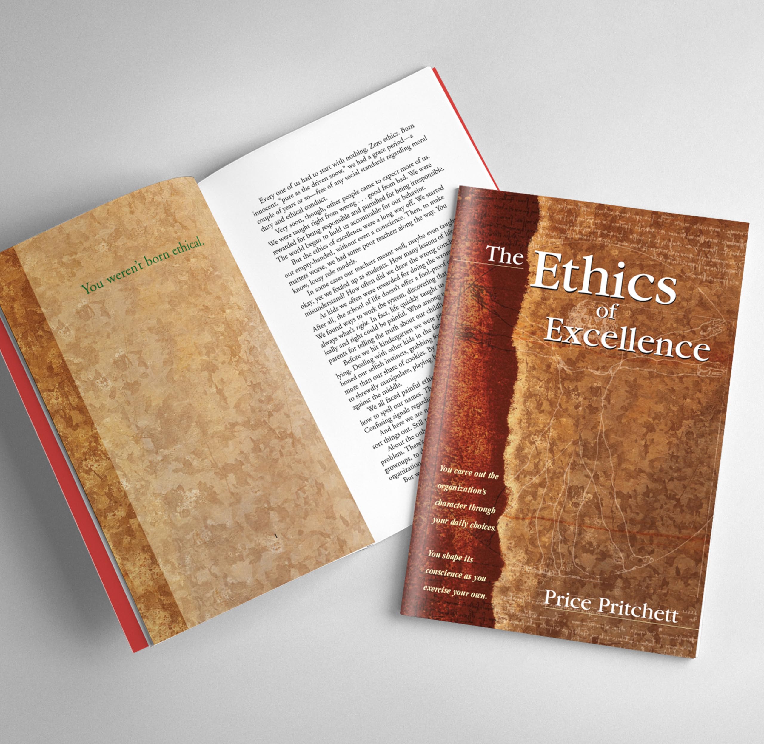 The Ethics of Excellence,Used