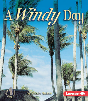 A Windy Day (First Step Nonfiction  Weather),Used
