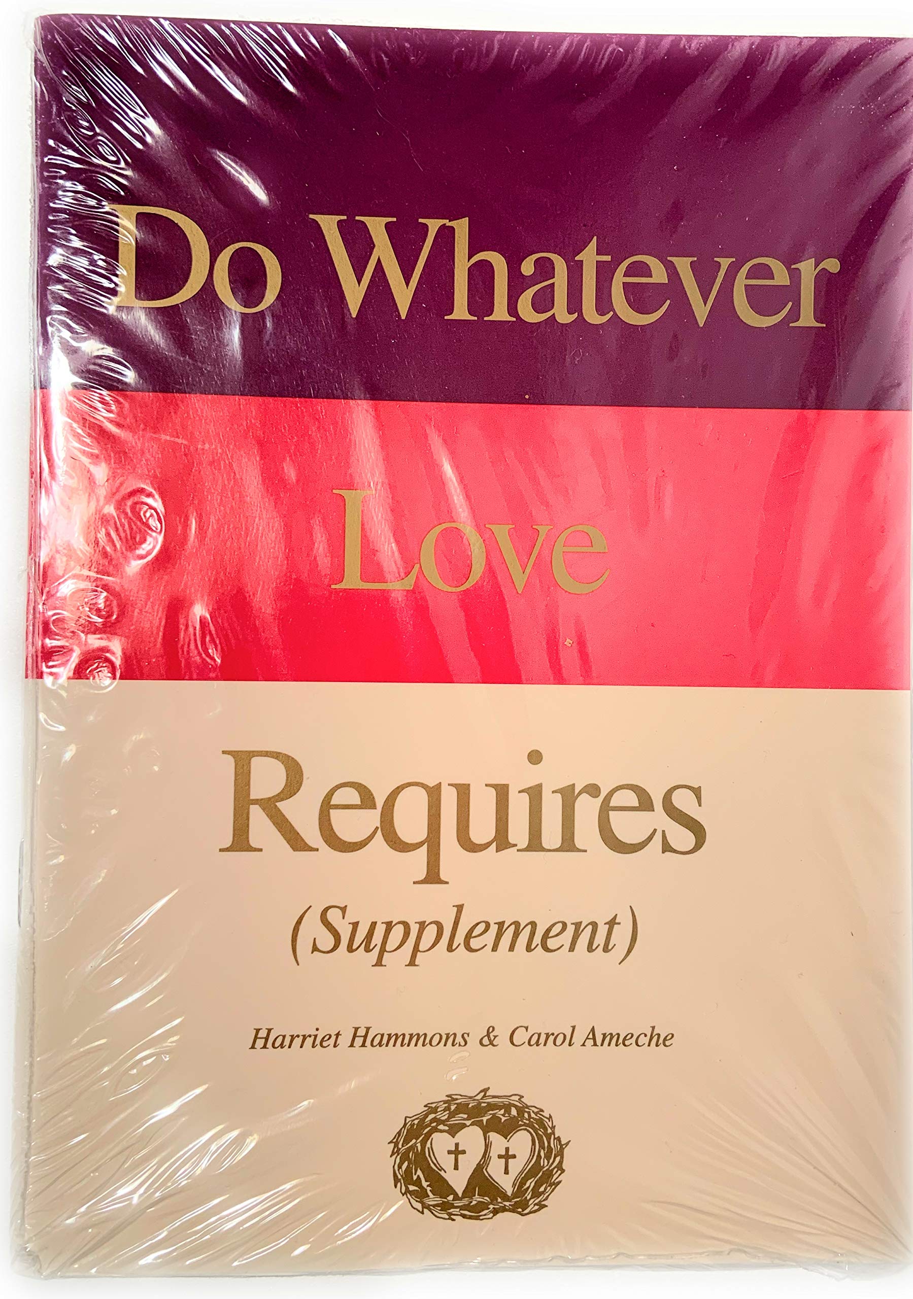 Do Whatever Love Requires: Supplement,Used