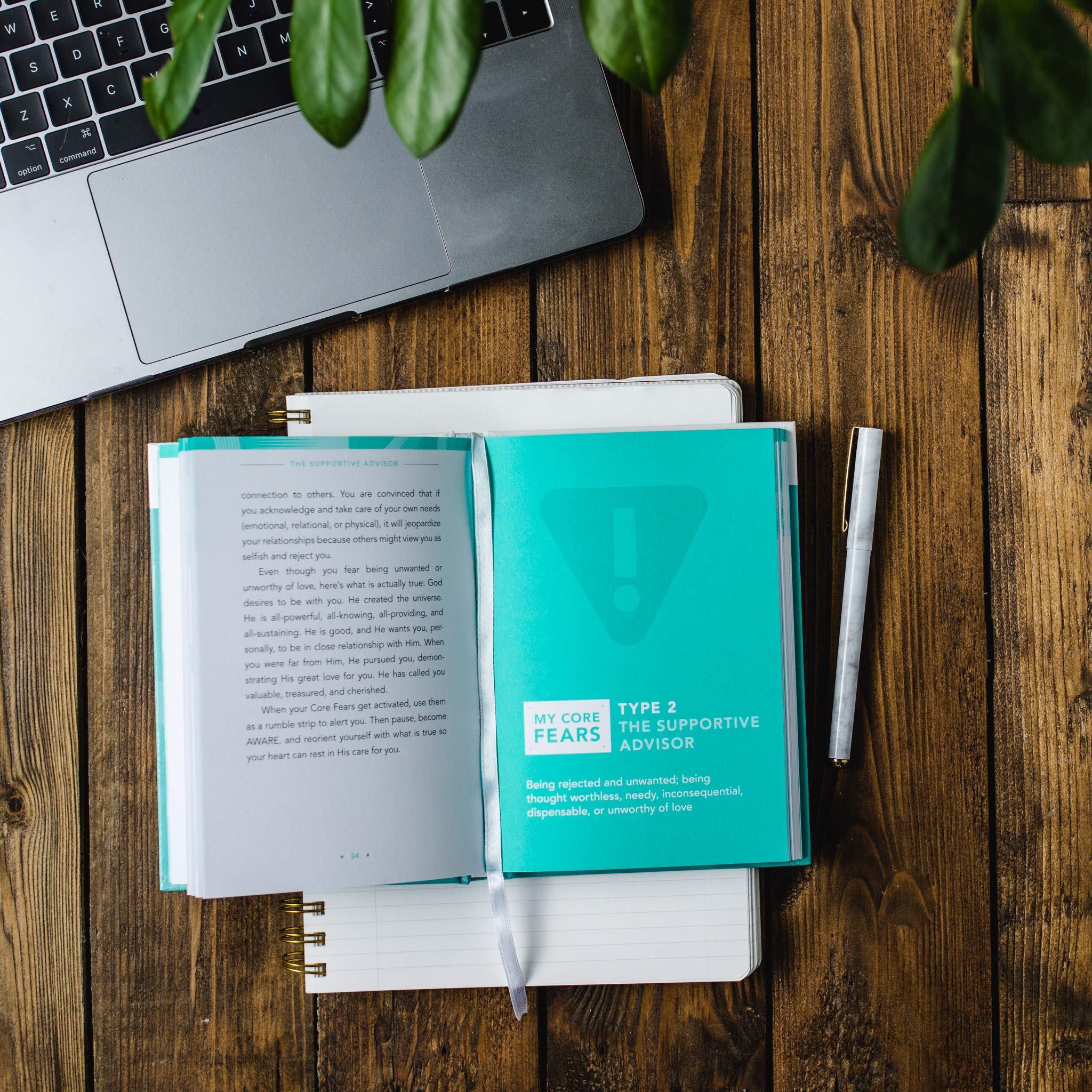 The Enneagram Type 2: The Supportive Advisor (The Enneagram Collection),Used