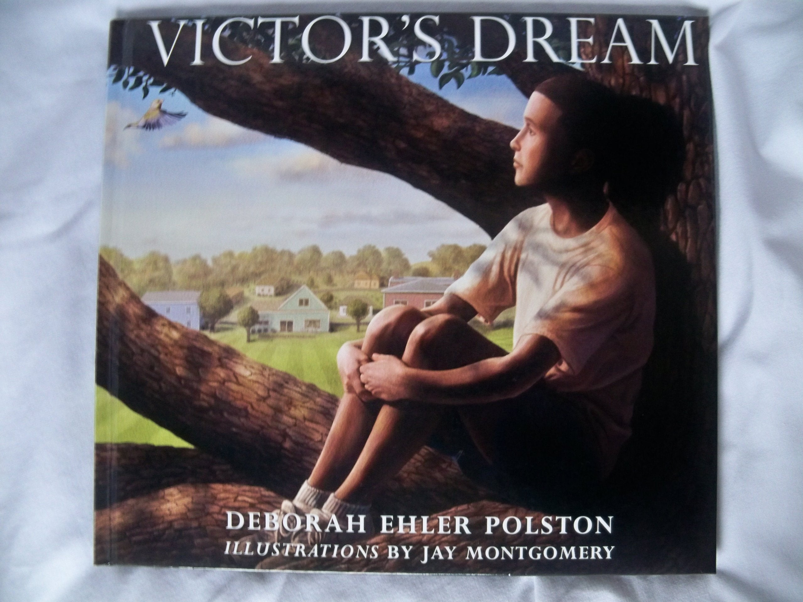 Victor's Dream,Used