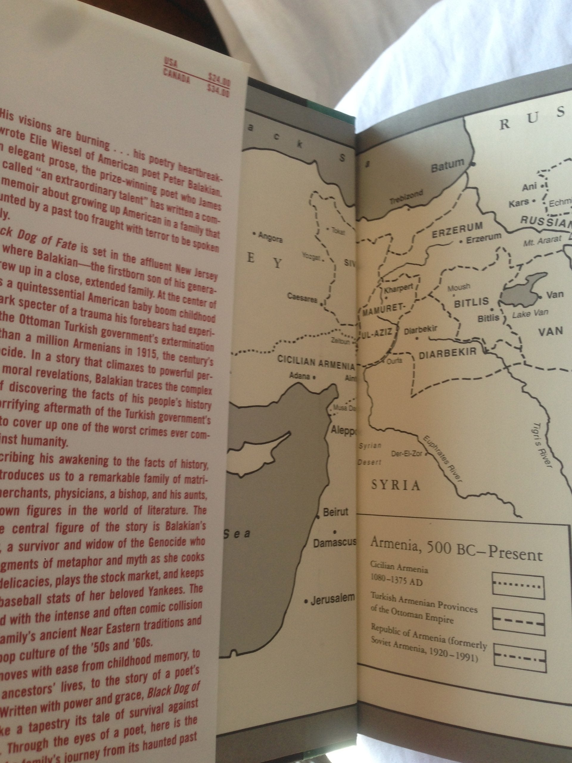 Black Dog Of Fate: A Memoir,Used