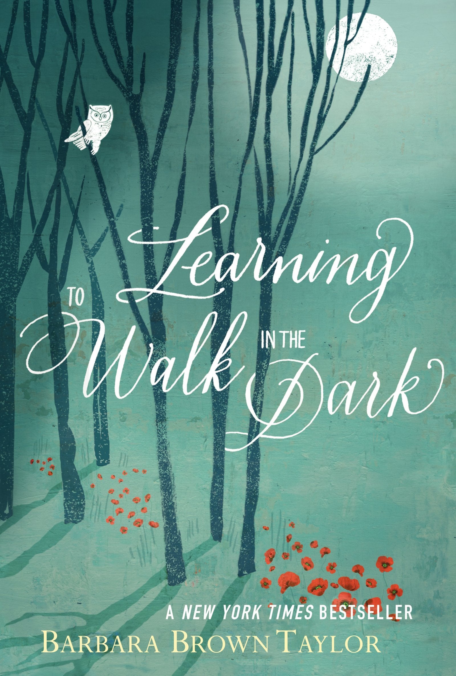 Learning to Walk in the Dark,Used