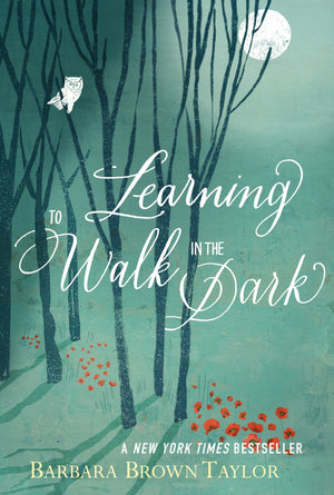 Learning to Walk in the Dark,Used