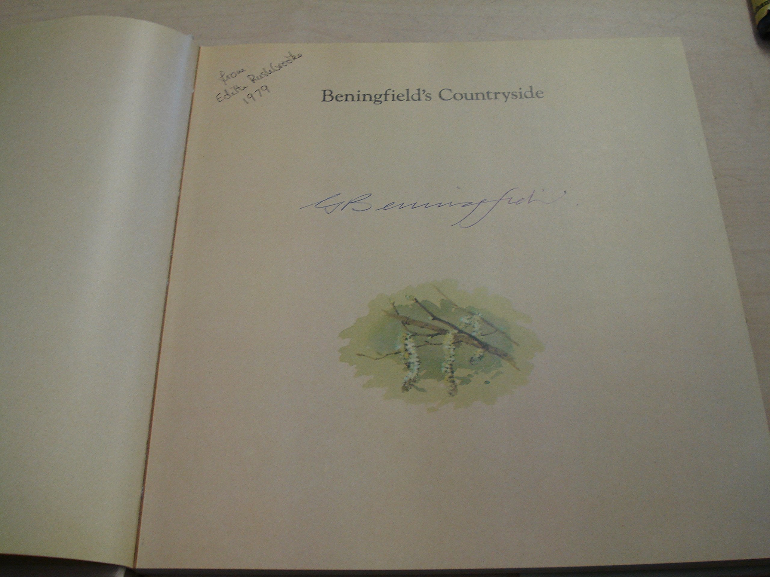 Beningfield's countryside,Used