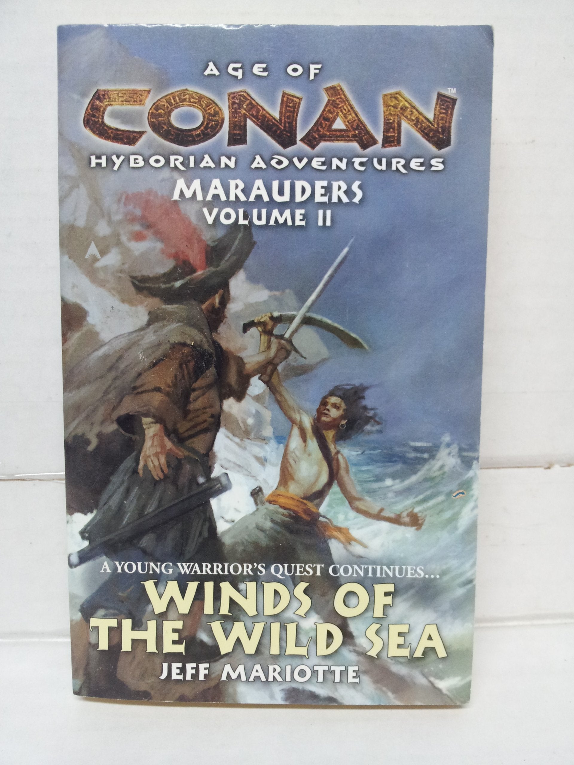 Age of Conan: Winds of the Wild Sea,Used