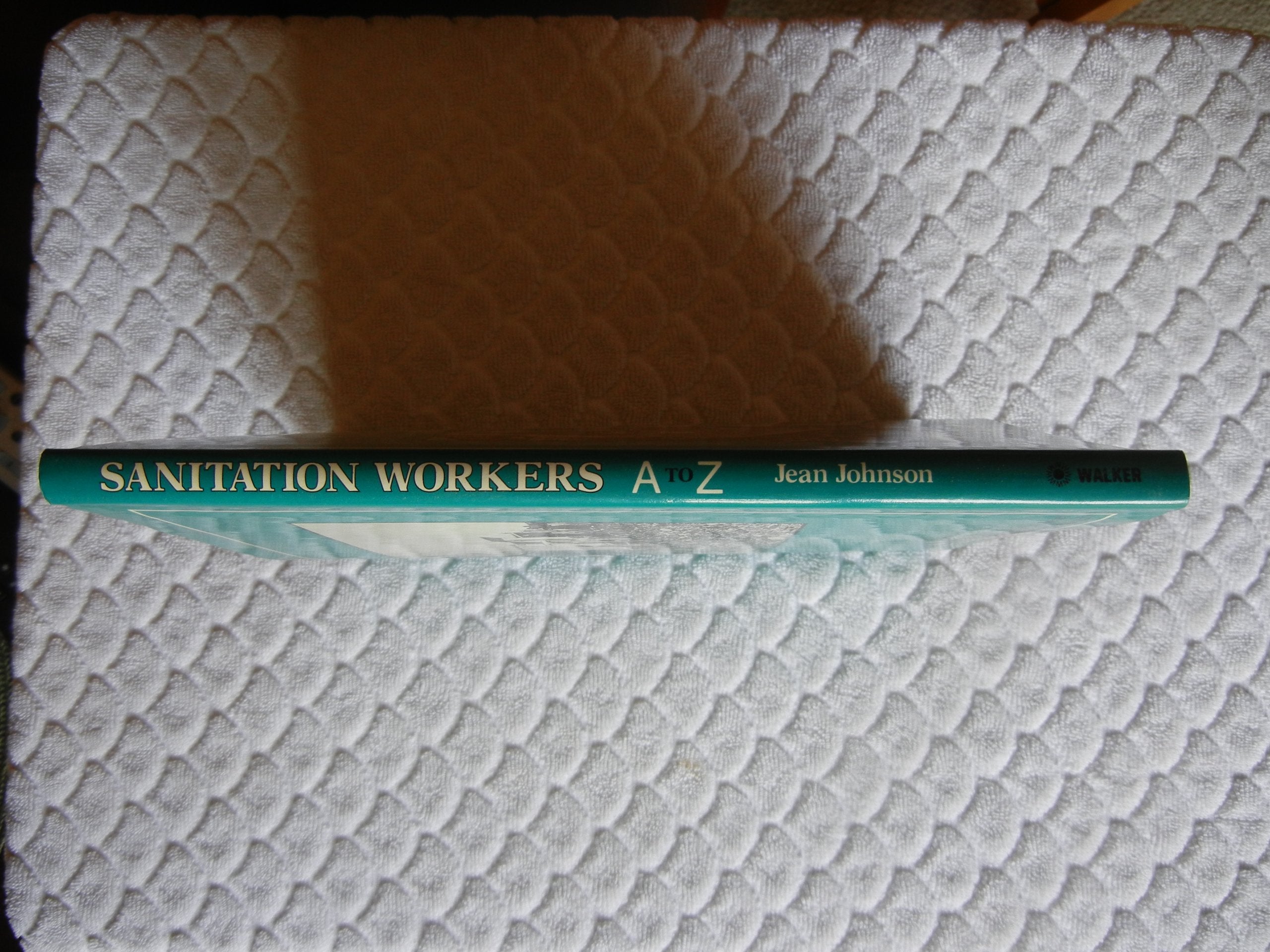 Sanitation Workers: A to Z (Community Helpers),Used