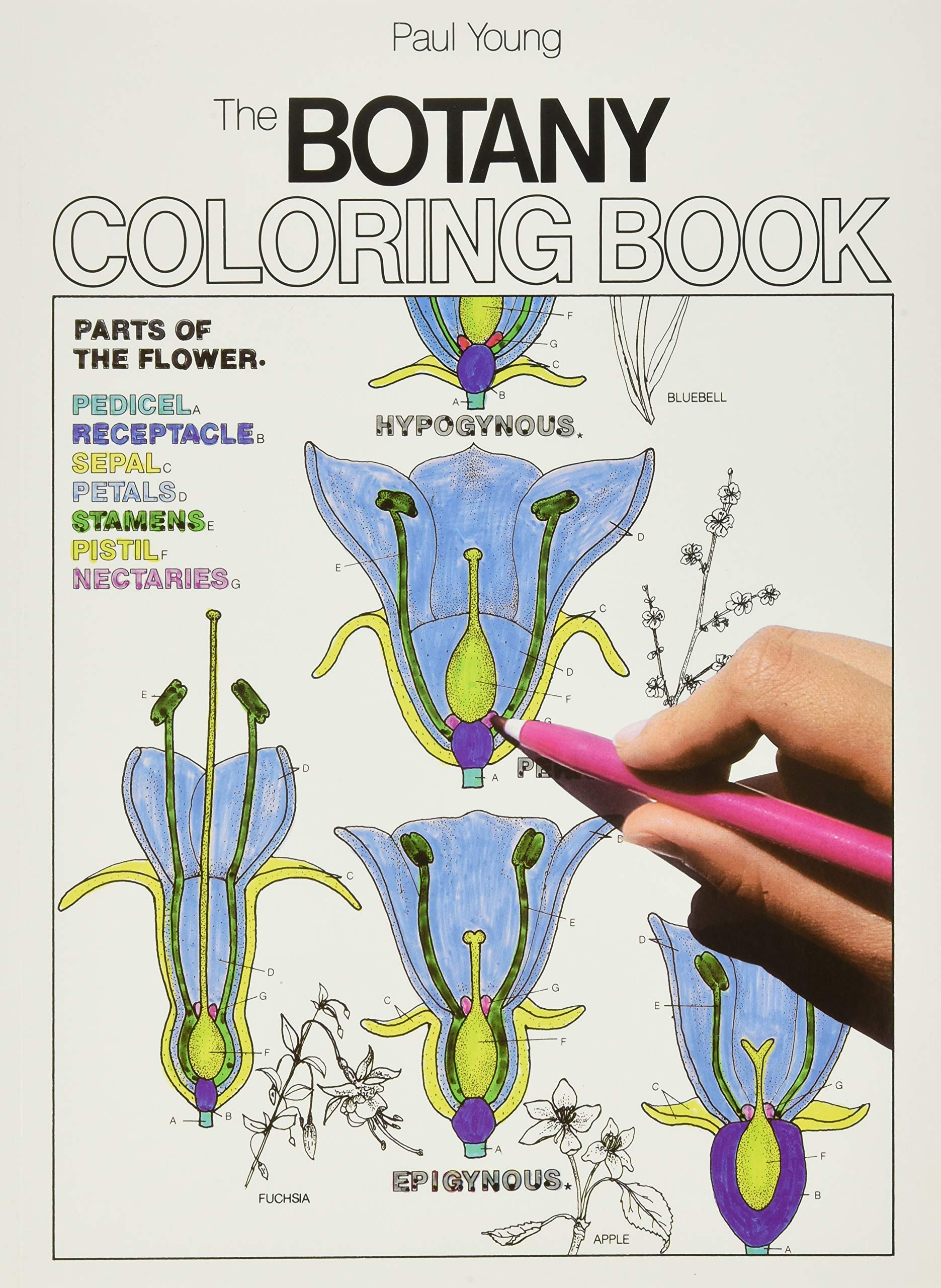 The Botany Coloring Book,Used