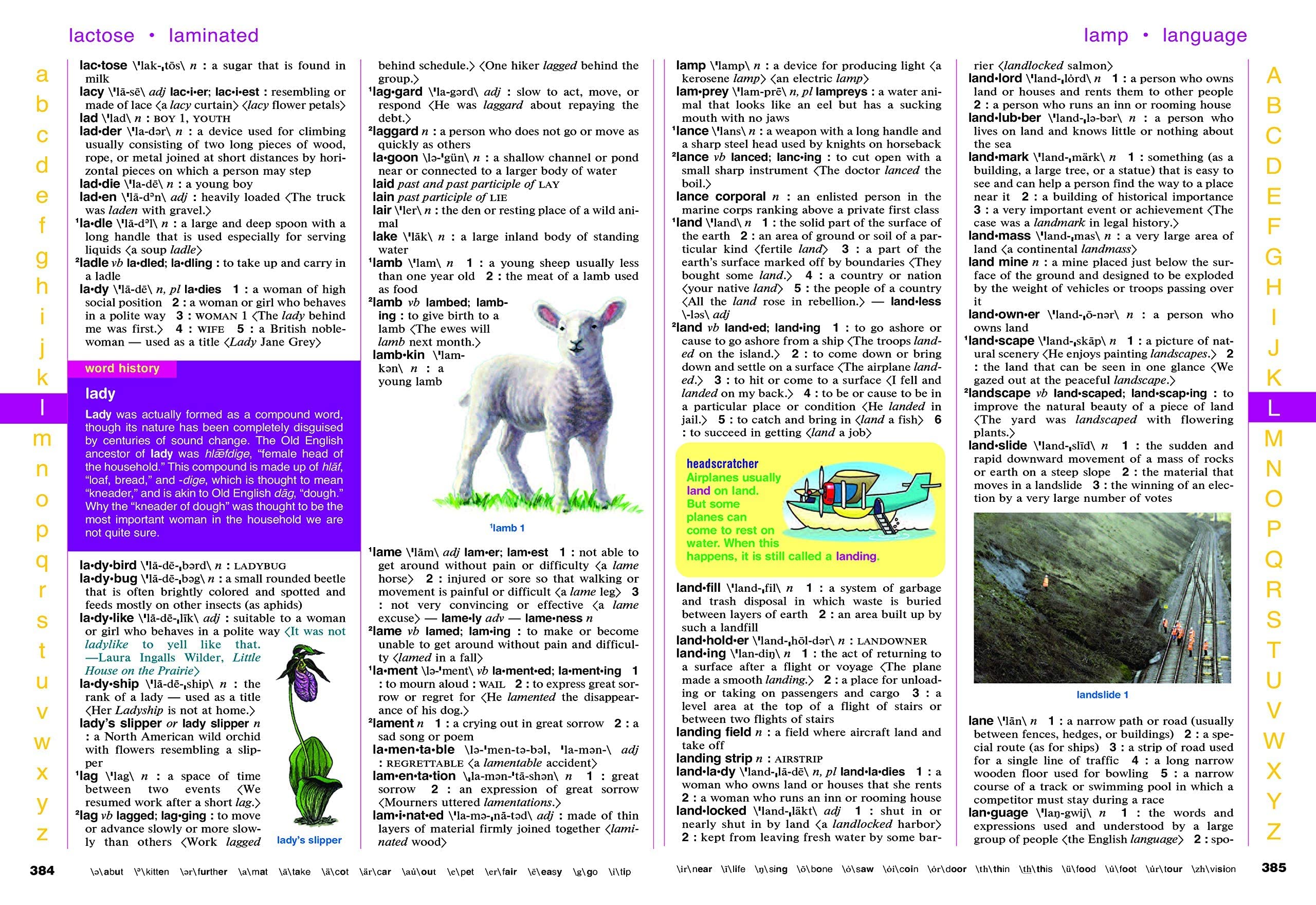 MerriamWebsters Elementary Dictionary,Used