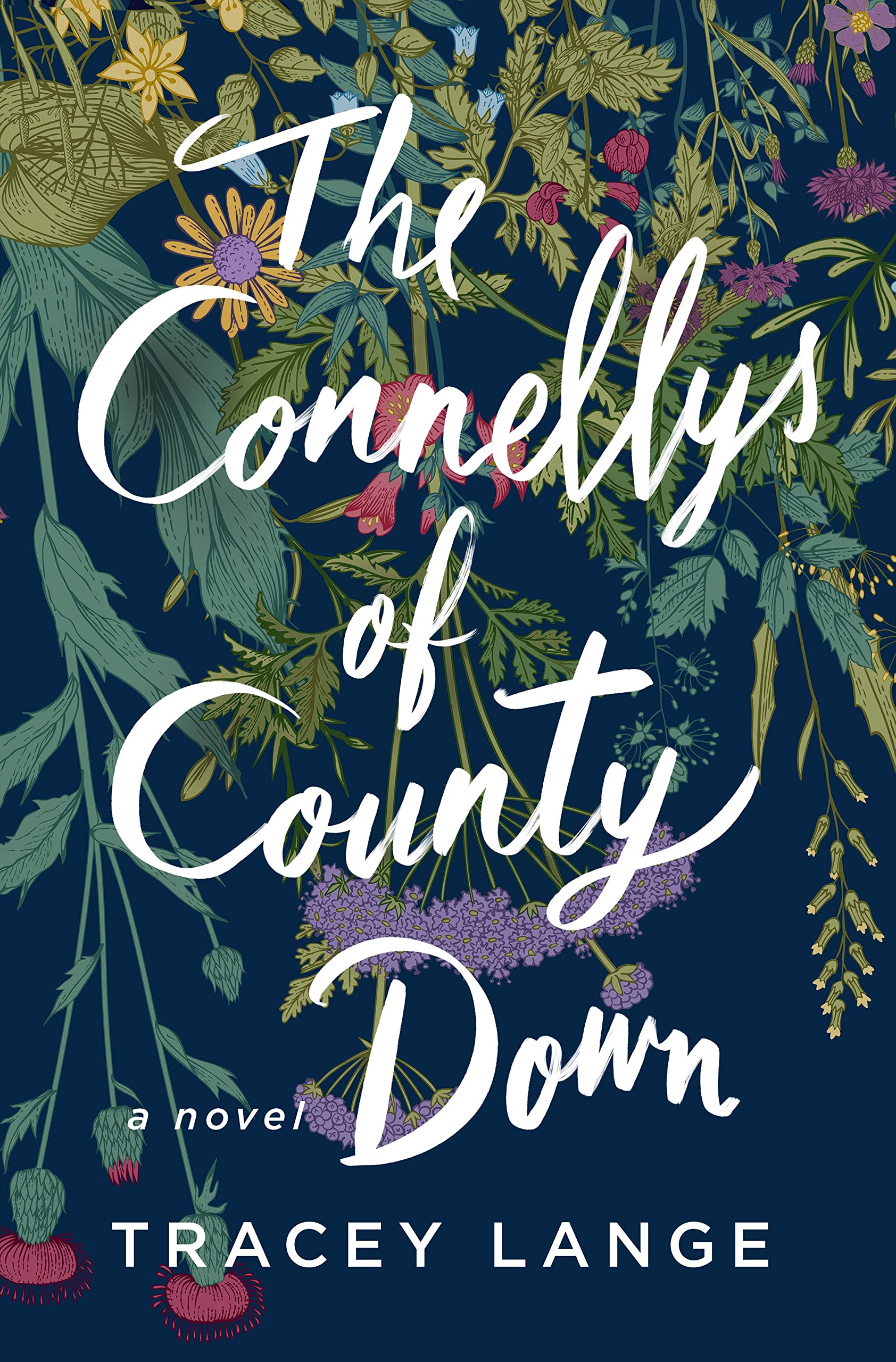 The Connellys Of County Down: A Novel