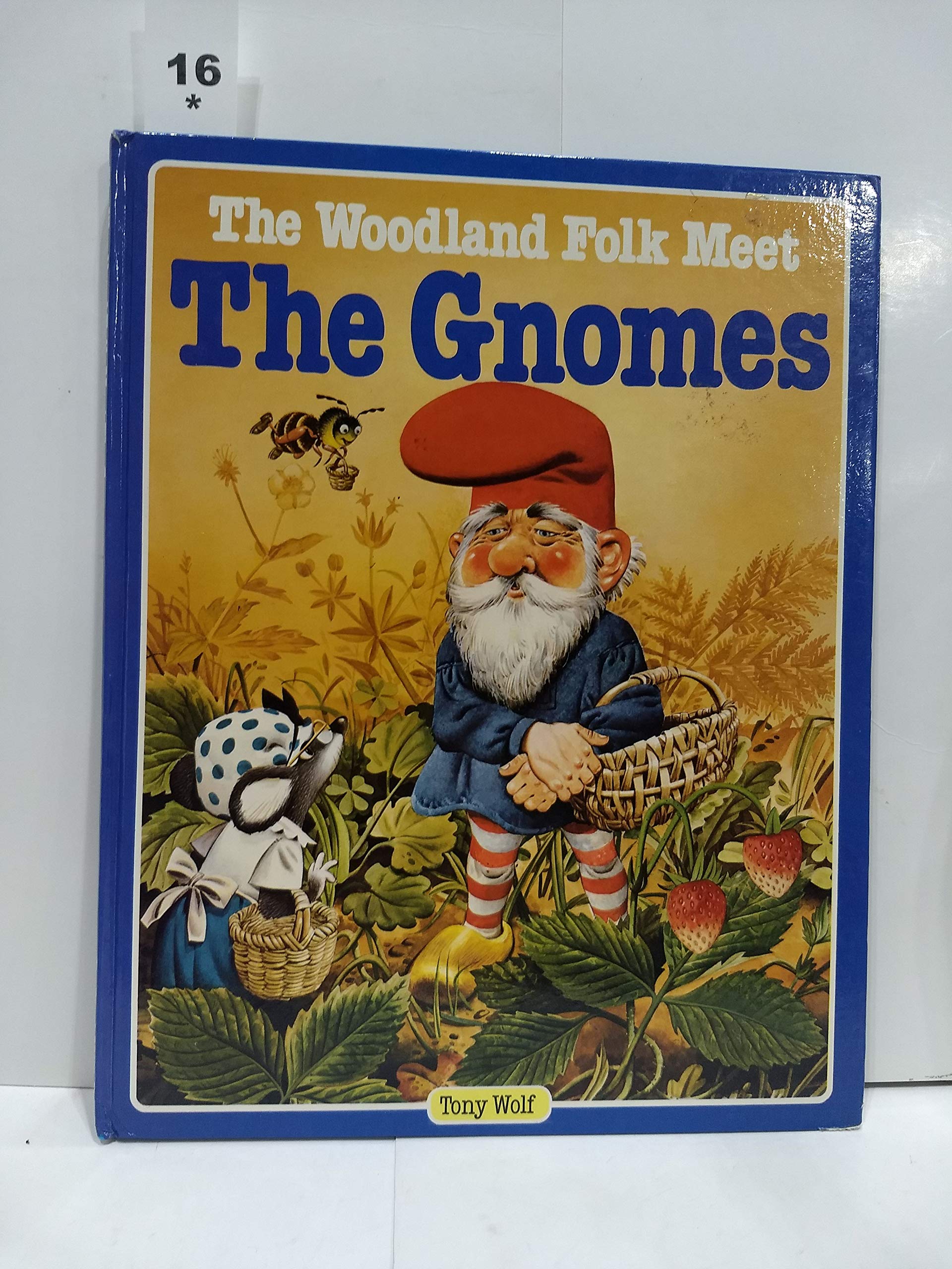 The Woodland Folk Meet The Gnomes,New