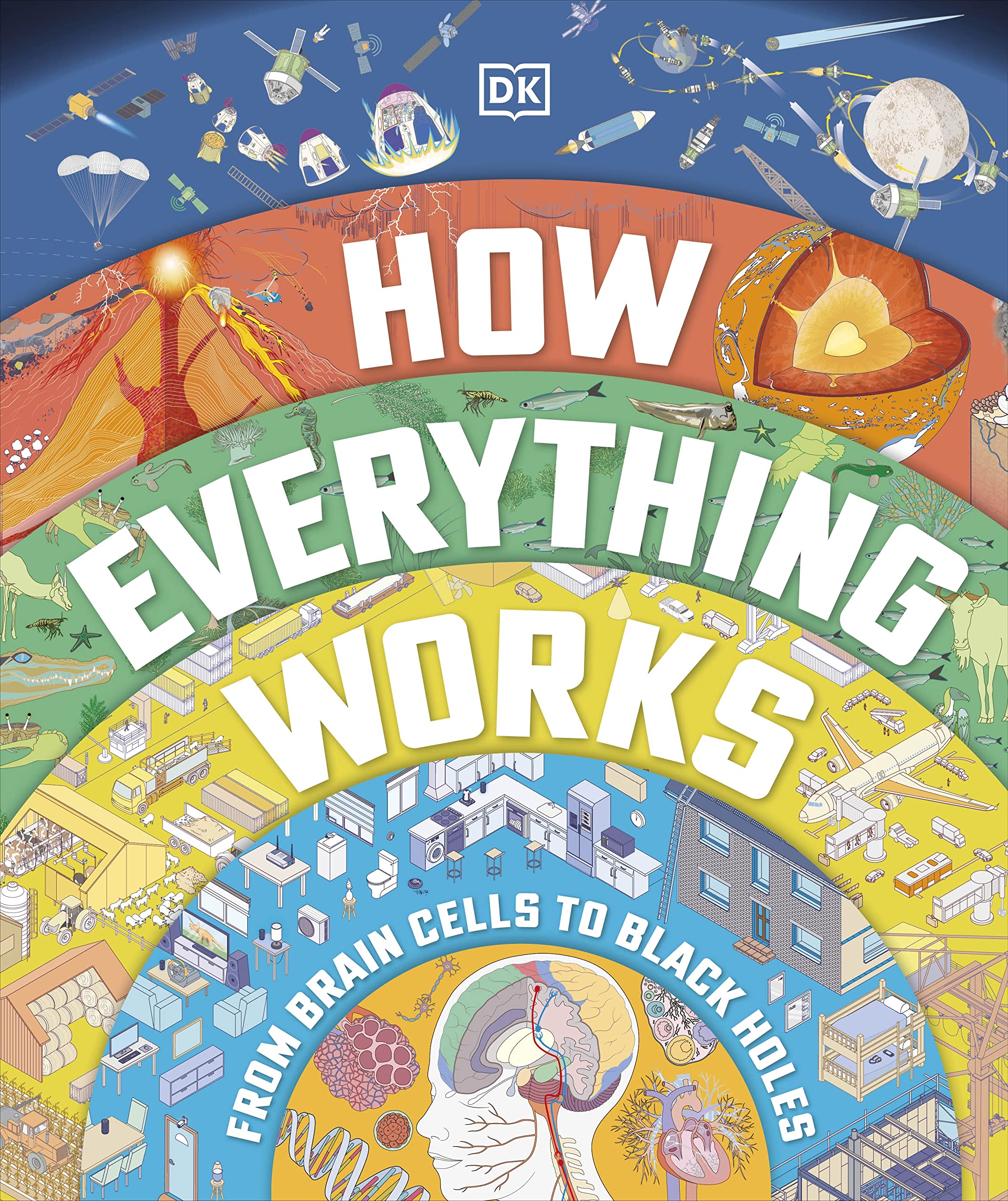 How Everything Works: From Brain Cells To Black Holes