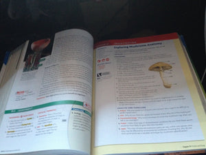 Introductory Chemistry: A Foundation,Used