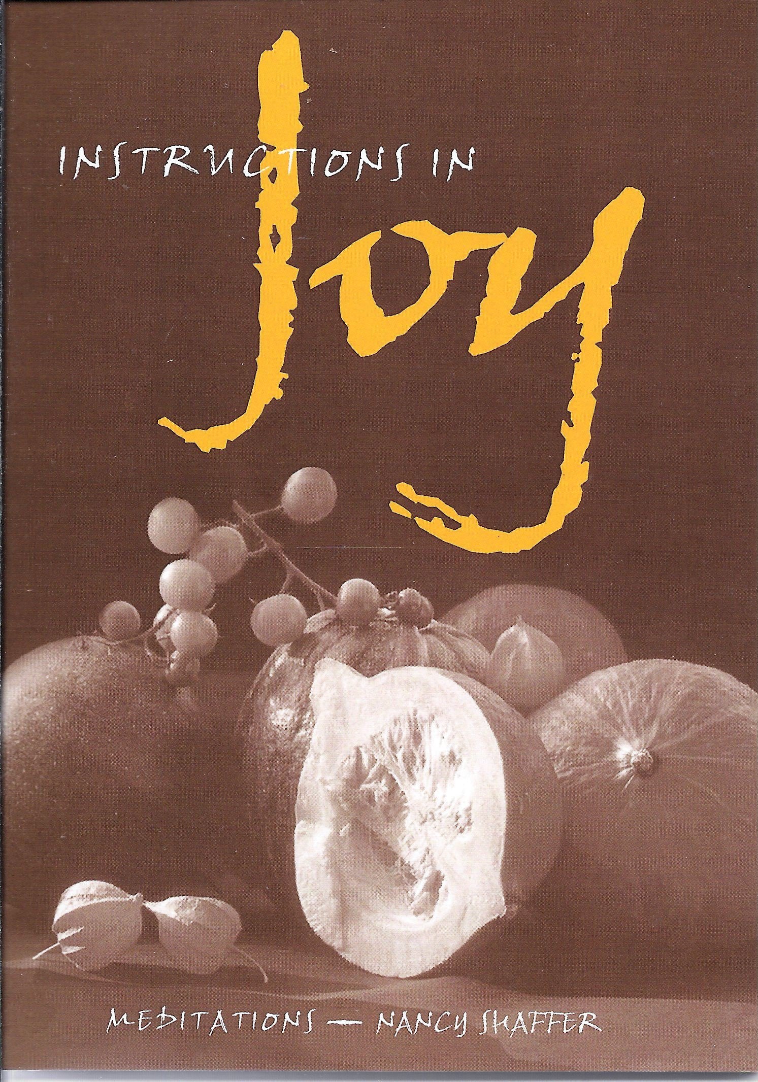 Instructions in Joy: Meditations,Used