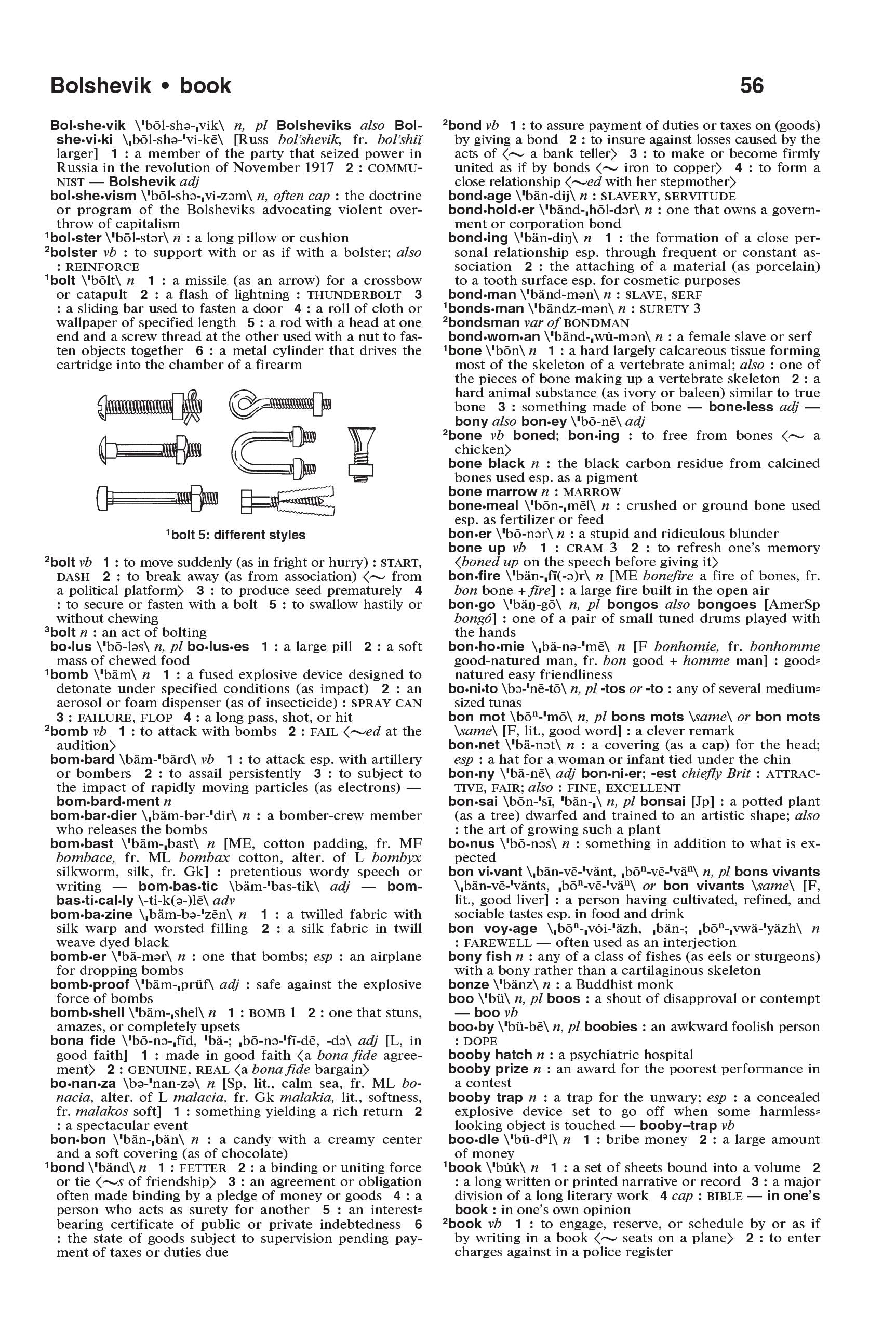 The MerriamWebster Dictionary, Trade Paperback, Newest Edition,New
