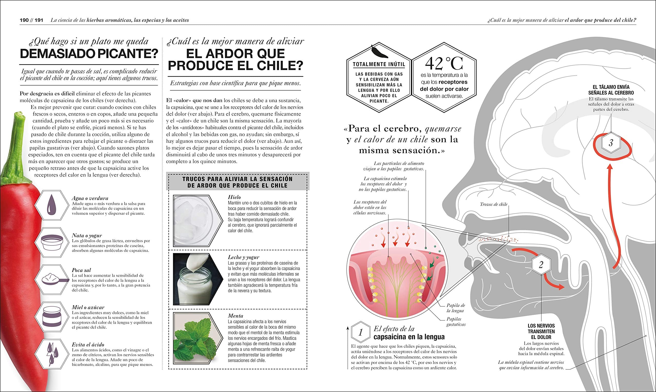Cocinologa (The Science Of Cooking): La Ciencia De Cocinar (Spanish Edition)