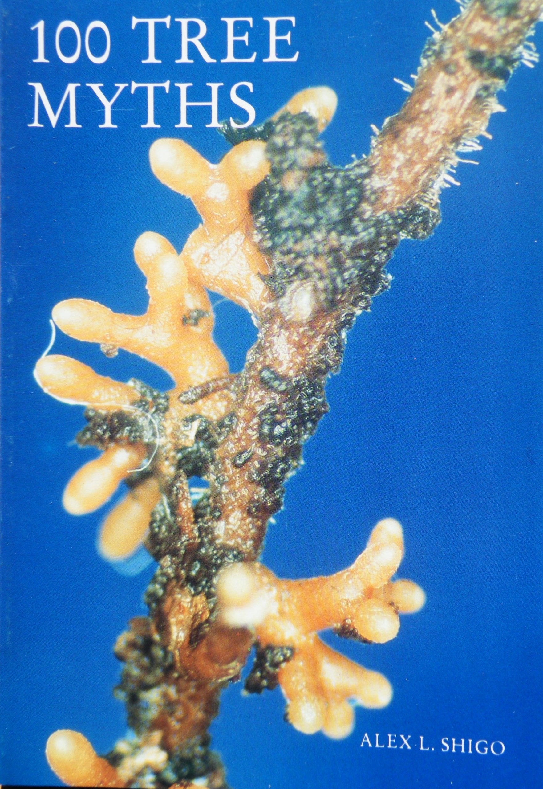100 Tree Myths,New