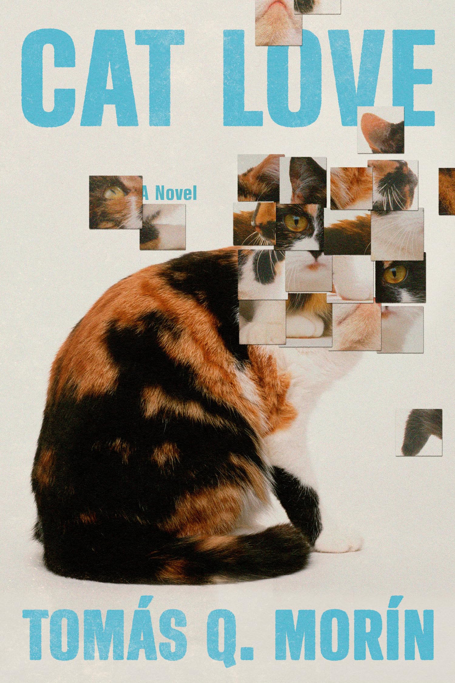 Cat Love: A Novel