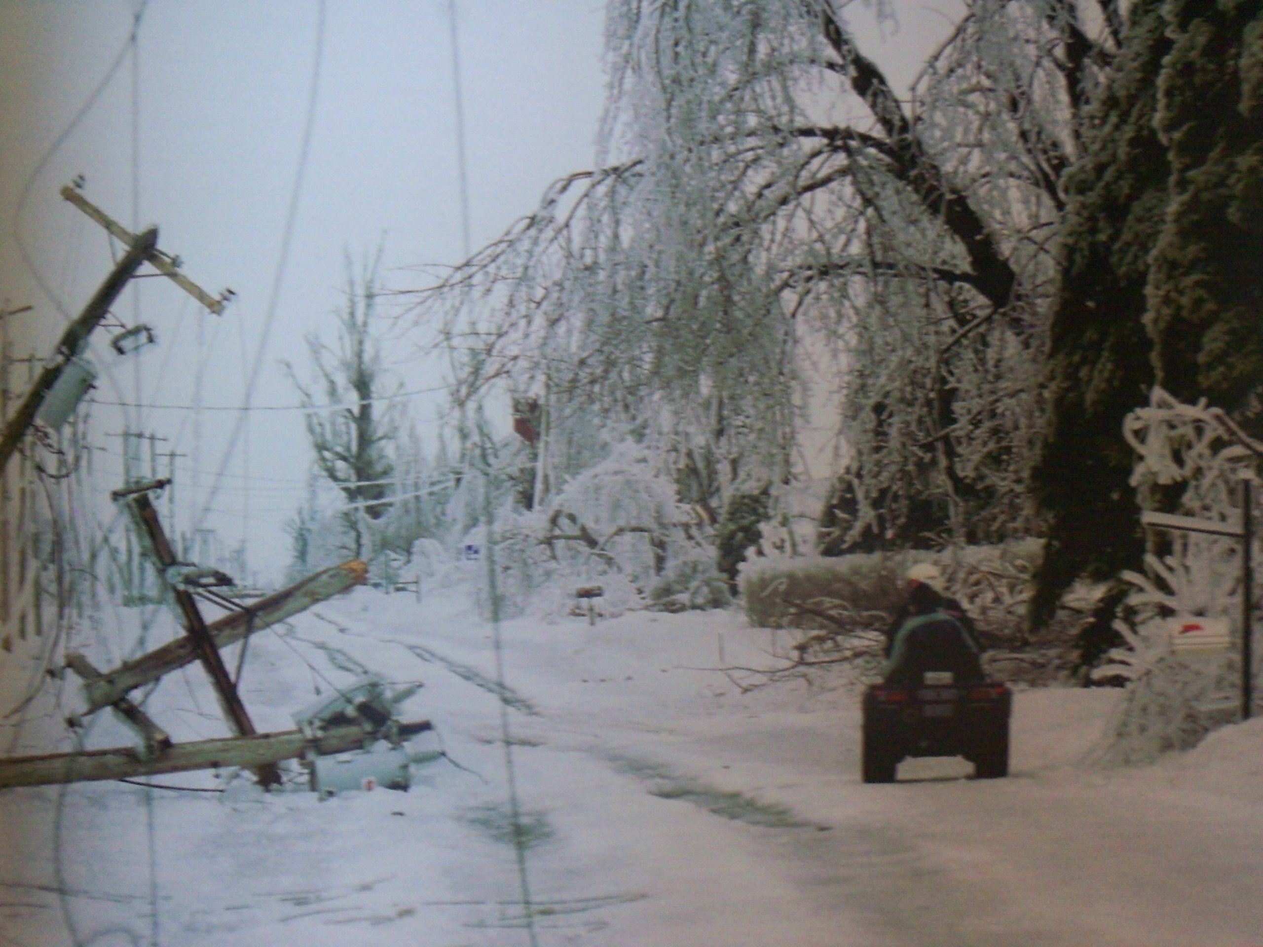 The Ice Storm: An Historic Record in Photographs of January 1998,Used