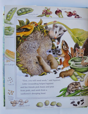 How Groundhog s Garden Grew