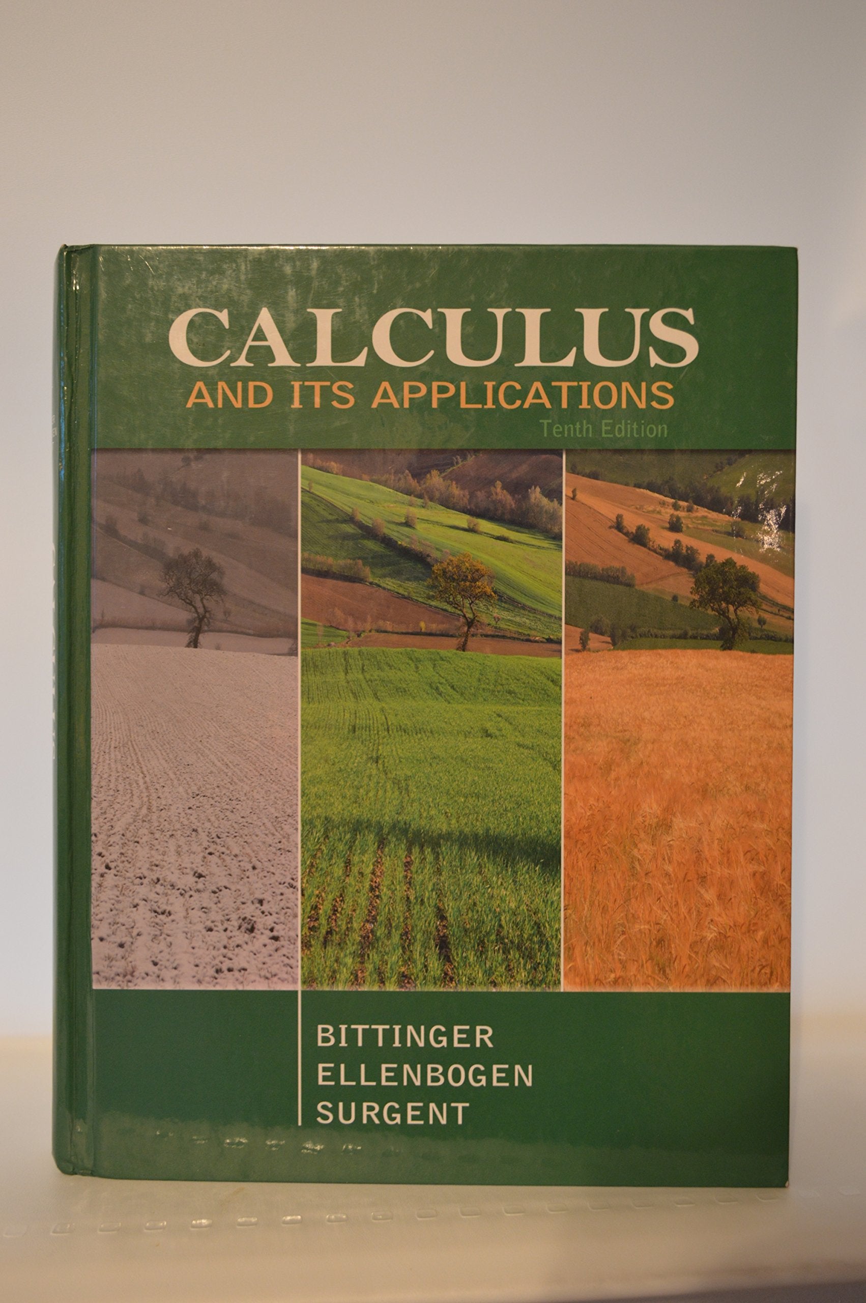 Calculus and Its Applications (10th Edition),New