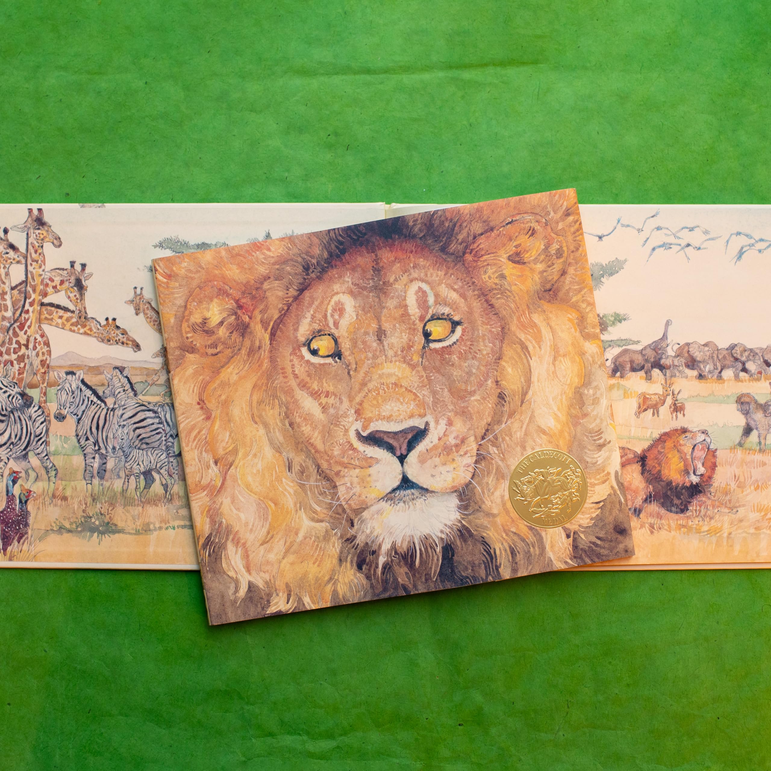 The Lion & the Mouse (Caldecott Medal Winner),New