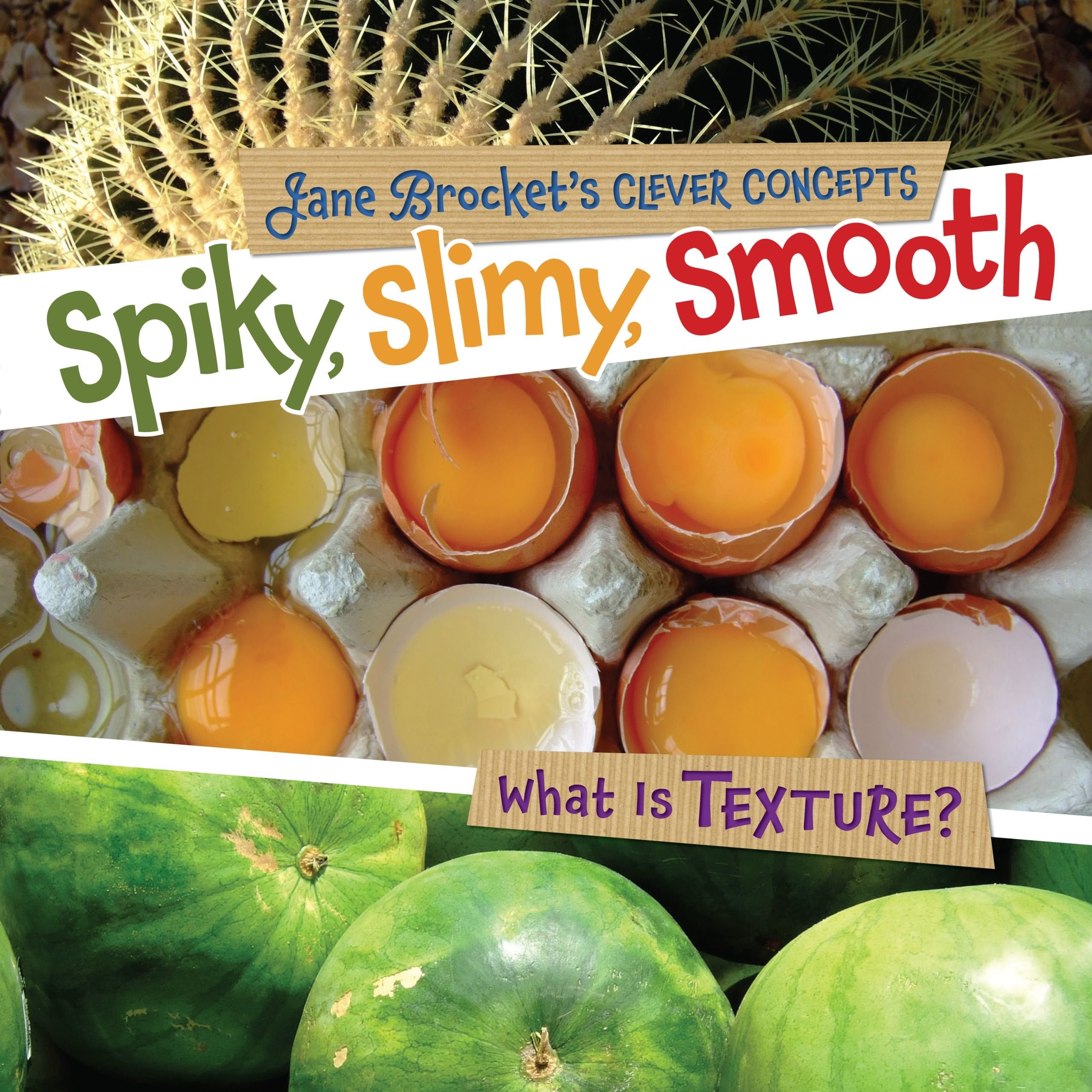 Spiky, Slimy, Smooth: What Is Texture? (Jane Brocket's Clever Concepts),New