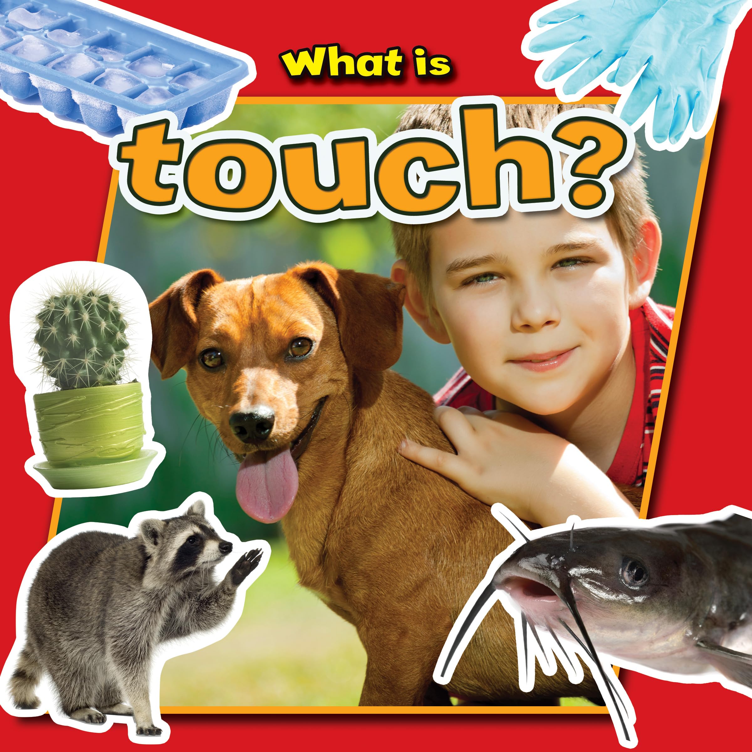 What Is Touch? (Senses CloseUp),Used