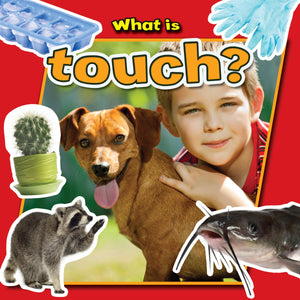What Is Touch? (Senses CloseUp),Used