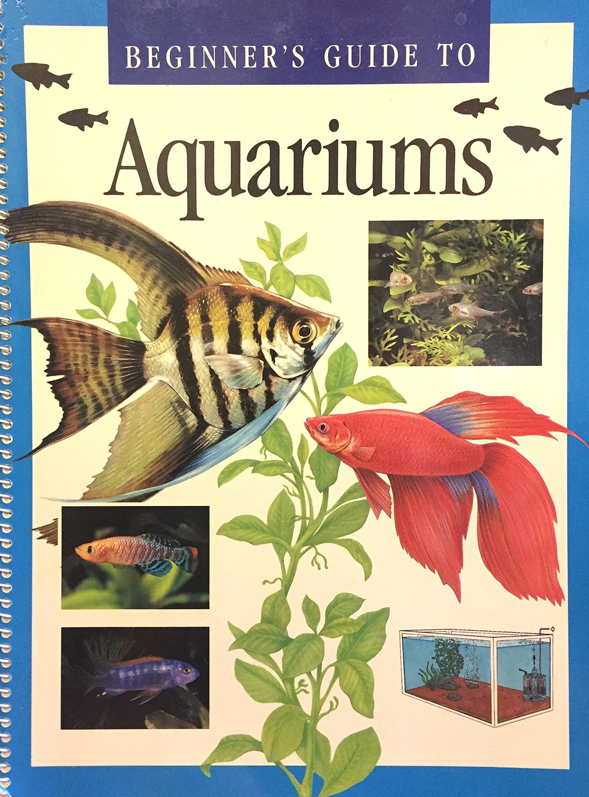 Beginner's Guide to Aquariums,Used