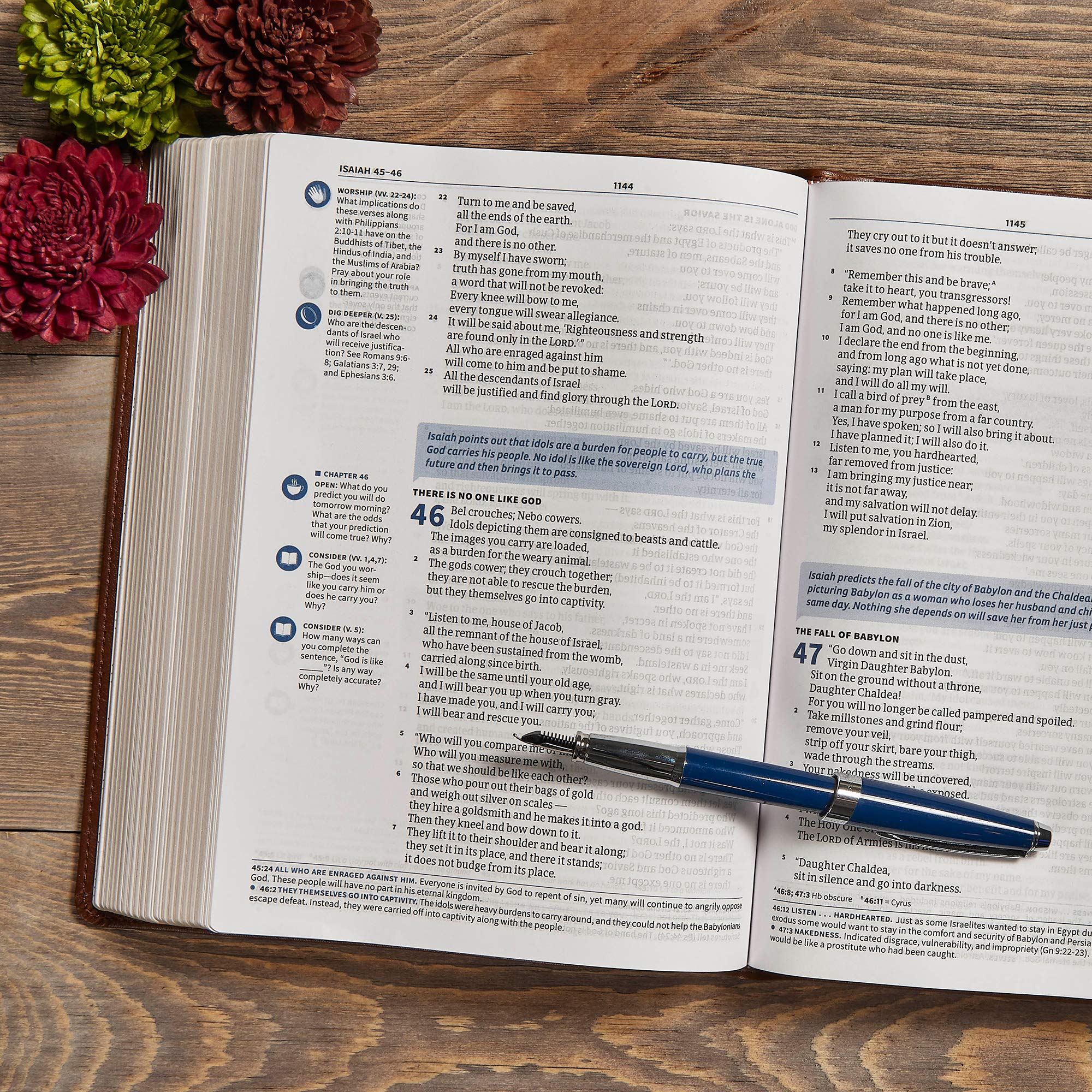 CSB Life Connections Study Bible, Brown LeatherTouch, Black Letter, Study Notes and Commentary, Margin Questions, Icons, Small G,New