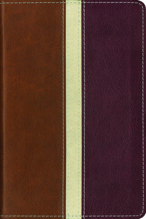 Busy Life Bible: Daily InspirationEven If You Only Have One Minute,Used