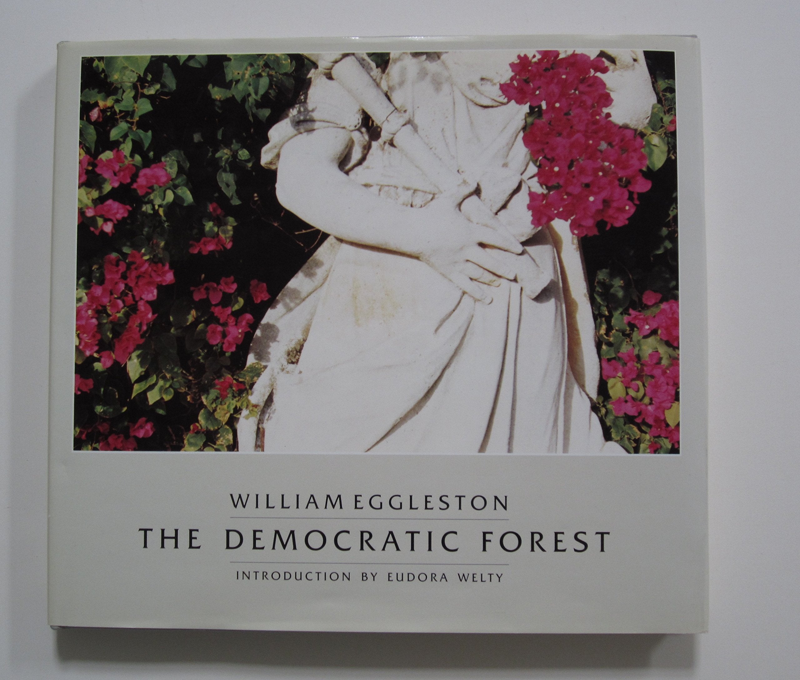 The Democratic Forest,Used